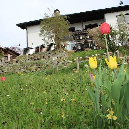 Haus Koblizek Appartement Waldkirchen Buitenkant foto