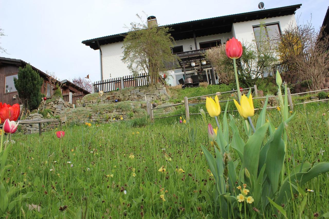 Haus Koblizek Appartement Waldkirchen Buitenkant foto