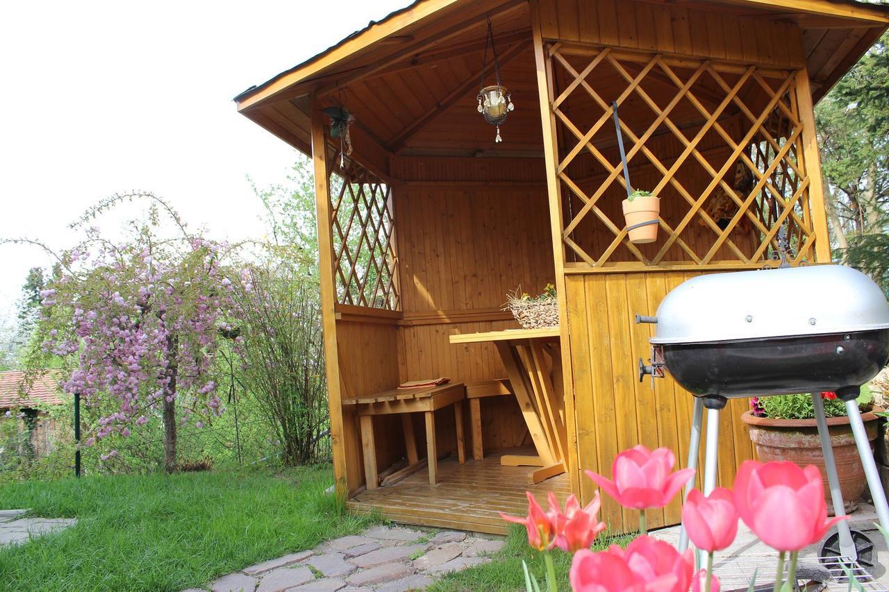 Haus Koblizek Appartement Waldkirchen Buitenkant foto